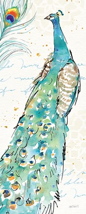 Framed Peacock Garden III Print