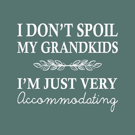 Framed I Don't Spoil My Grandkids Leaf Design Teal Print