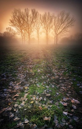 Framed Misty Morning Print