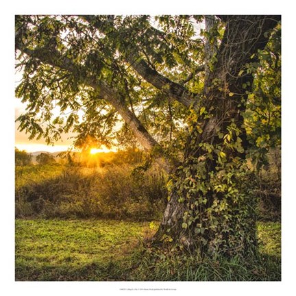 Framed Calling It a Day Print