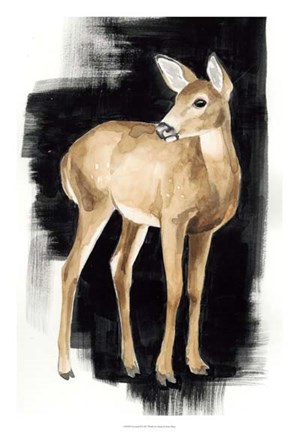 Framed Nocturnal II Print