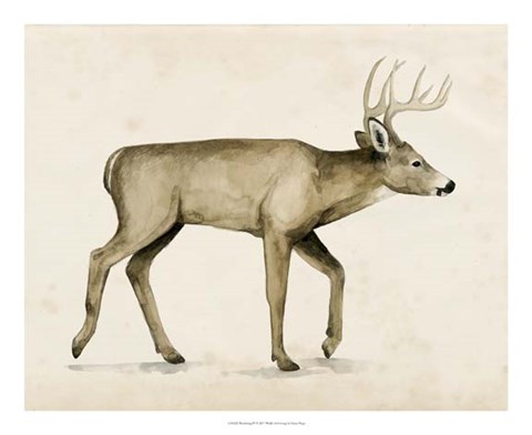 Framed Wandering IV Print