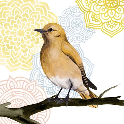 Framed Mandala Bird II Print