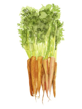 Framed Watercolor Veggie III Print