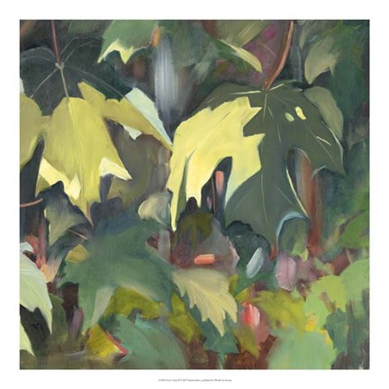 Framed Leaf Array II Print