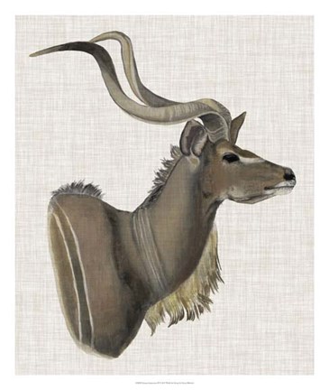 Framed Savanna Impressions IV Print