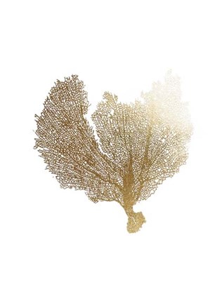 Framed Gold Foil Sea Fan III Print