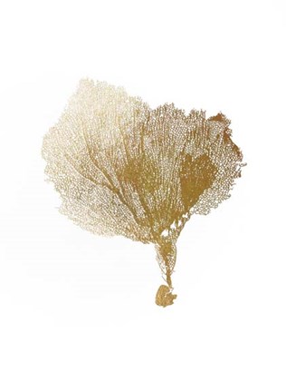 Framed Gold Foil Sea Fan IV Print