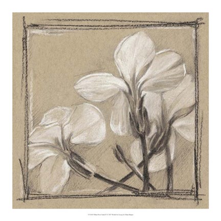 Framed White Floral Study IV Print