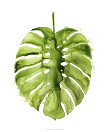 Framed Monstera I Print