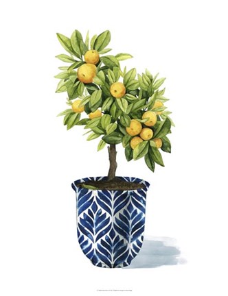 Framed Fruit Tree I Print