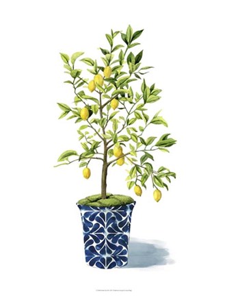 Framed Fruit Tree II Print