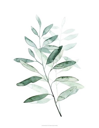 Framed Serene Reed I Print