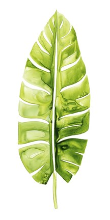 Framed Banana Leaf Study II Print