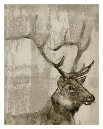 Framed Sepia Elk Print