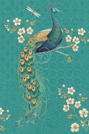 Framed Ornate Peacock IXD Print