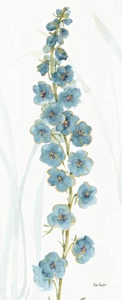 Framed Rainbow Seeds Flowers VI Print