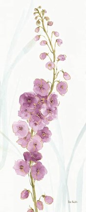 Framed Rainbow Seeds Flowers VII Print