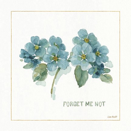 Framed My Greenhouse Forget Me Not Print