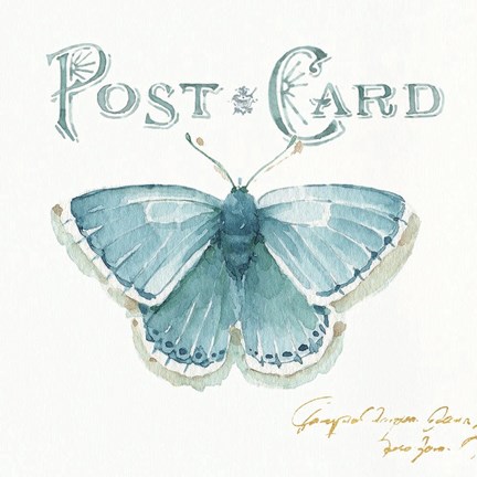 Framed My Greenhouse Butterflies I Print