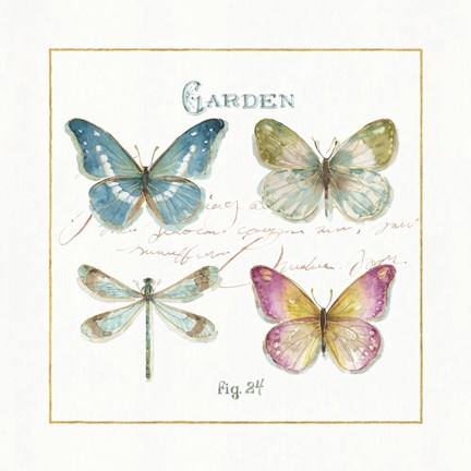 Framed Rainbow Seeds Butterflies IV Print