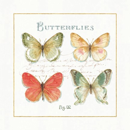 Framed Rainbow Seeds Butterflies III Print