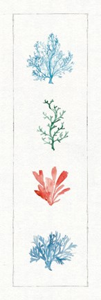 Framed Water Coral VIII Print