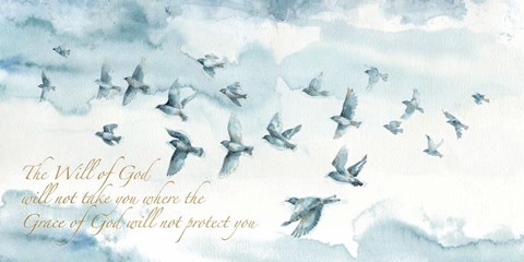 Framed Indigold XIII with Script Print