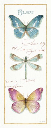 Framed Rainbow Seeds Butterflies I Print