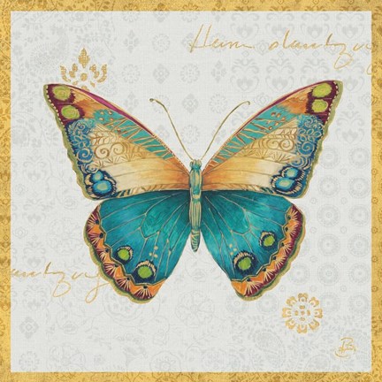 Framed Bohemian Wings Butterfly II Print