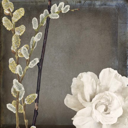 Framed India I Print