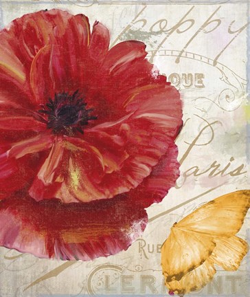 Framed Red Poppy Print