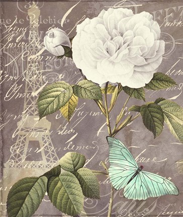 Framed White Rose Print