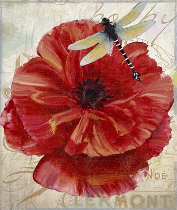 Framed Le Pavot Dragonfly Print