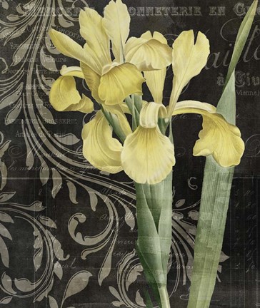 Framed Ode To Yellow Print