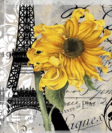 Framed Paris Blanc Print