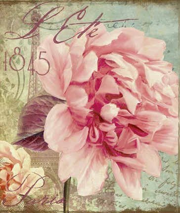 Framed Saisons III Print