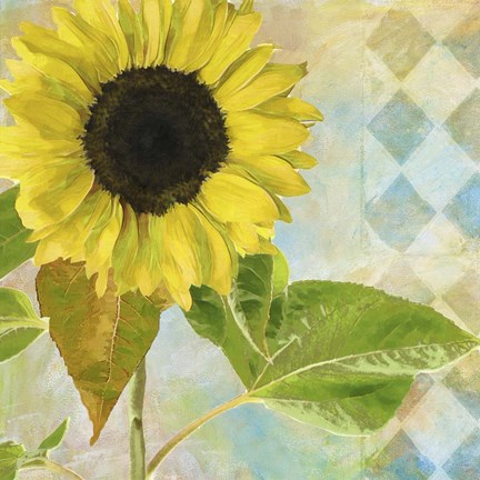 Framed Soleil III Print