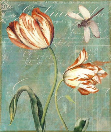 Framed Tulips Ablaze I Print