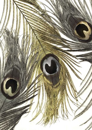 Framed Feather Fashion I Print