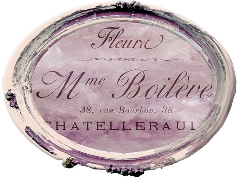 Framed Paris in Frames 6 Print