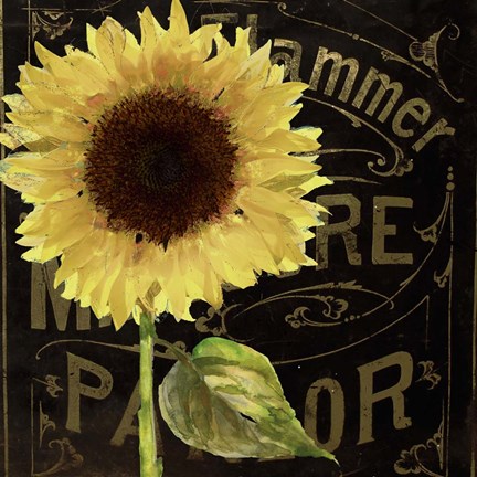Framed Sunflower Salon I Print