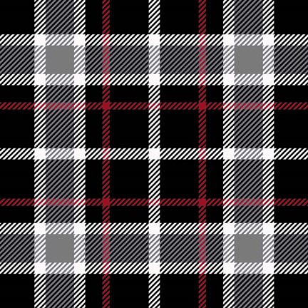 Framed Plaid Black Print