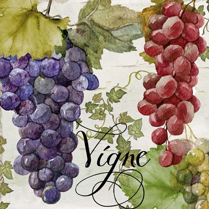 Framed Wines of Paris I Print