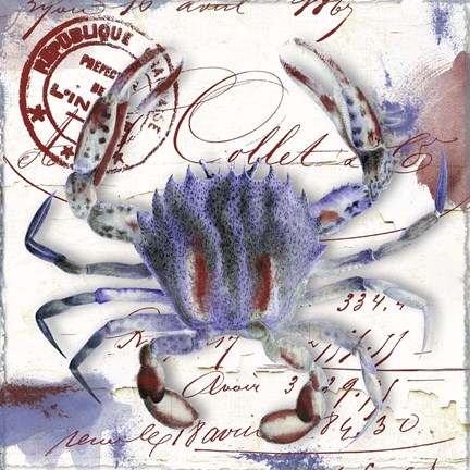 Framed Oceania II Print