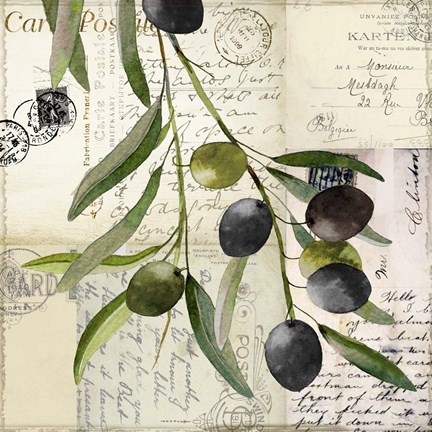 Framed Olivia I Print