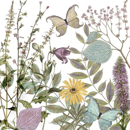 Framed Botanique Refresh 1 Print