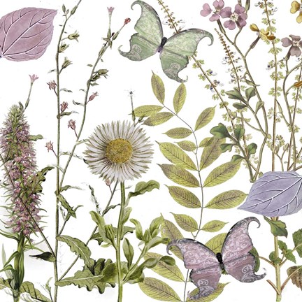 Framed Botanique Refresh 2 Print