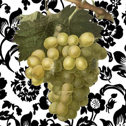 Framed Grape Suzette II Print