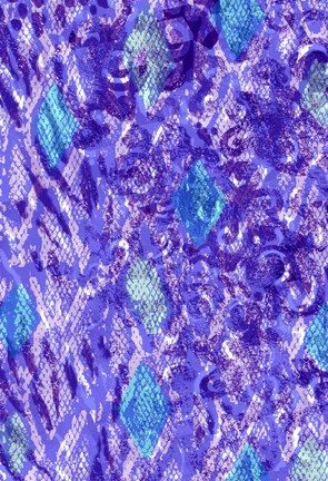 Framed Snake Skin II Print